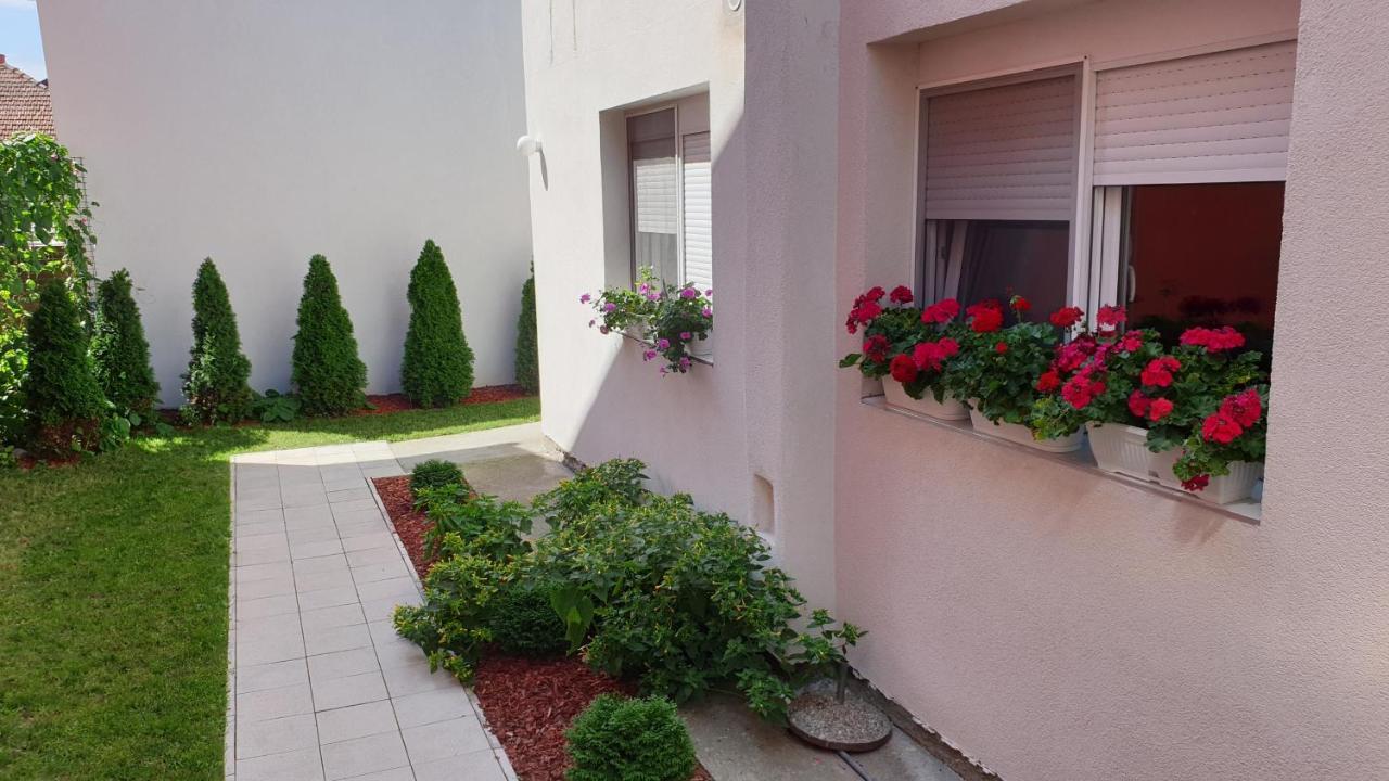 Lovely Private Flats Free Parking Novi Sad Exterior foto